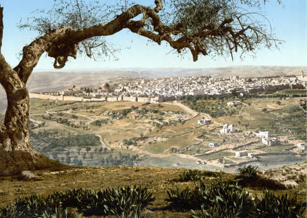 Terre Sainte 2024 pèlerinage rencontre des acteurs de paix